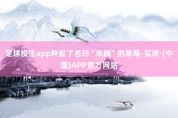 足球投注app种起了名曰“朱颜”的草莓-买球·(中国)APP官方网站