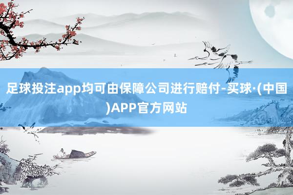 足球投注app均可由保障公司进行赔付-买球·(中国)APP官方网站