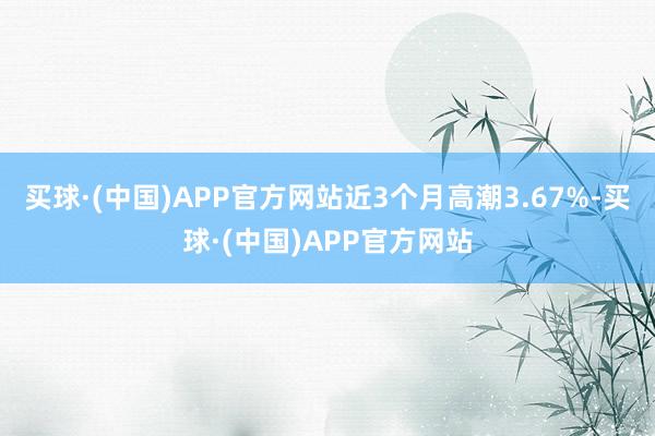 买球·(中国)APP官方网站近3个月高潮3.67%-买球·(中国)APP官方网站