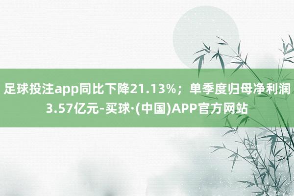 足球投注app同比下降21.13%；单季度归母净利润3.57亿元-买球·(中国)APP官方网站