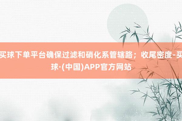买球下单平台确保过滤和硝化系管辖路；收尾密度-买球·(中国)APP官方网站