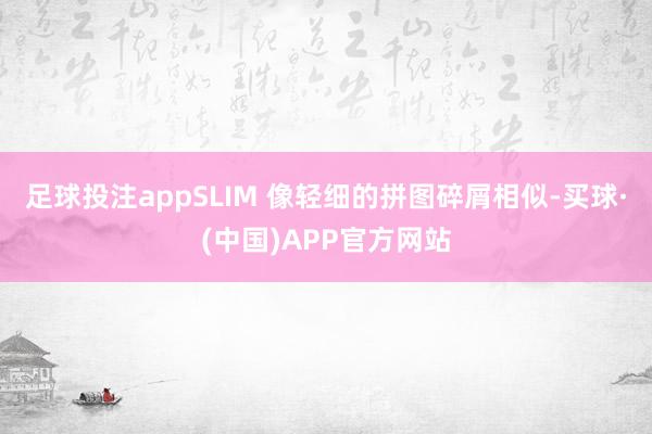 足球投注appSLIM 像轻细的拼图碎屑相似-买球·(中国)APP官方网站