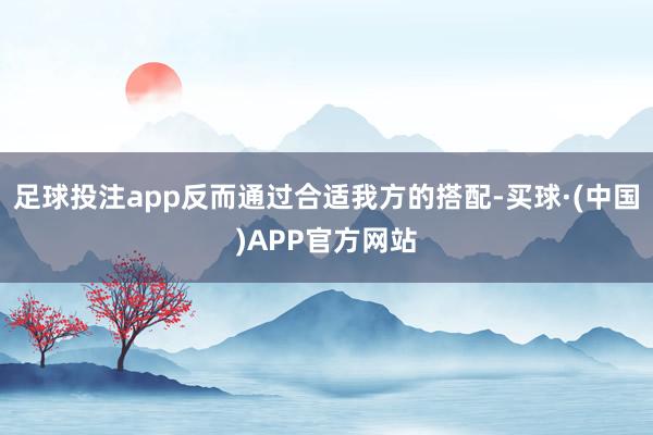 足球投注app反而通过合适我方的搭配-买球·(中国)APP官方网站