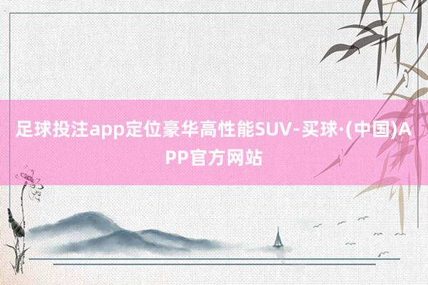 足球投注app定位豪华高性能SUV-买球·(中国)APP官方网站