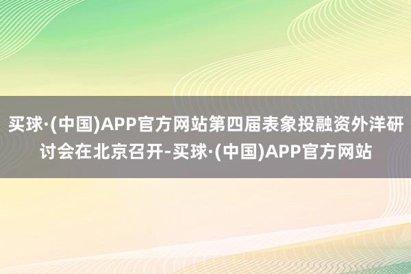买球·(中国)APP官方网站第四届表象投融资外洋研讨会在北京召开-买球·(中国)APP官方网站