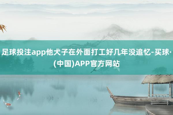 足球投注app他犬子在外面打工好几年没追忆-买球·(中国)APP官方网站