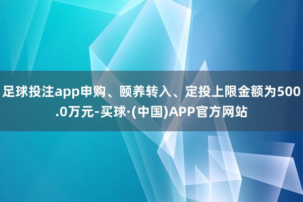 足球投注app申购、颐养转入、定投上限金额为500.0万元-买球·(中国)APP官方网站