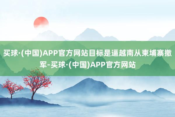 买球·(中国)APP官方网站目标是逼越南从柬埔寨撤军-买球·(中国)APP官方网站