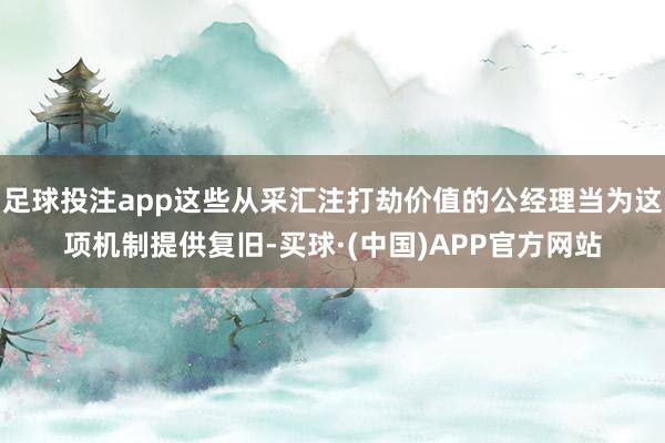 足球投注app这些从采汇注打劫价值的公经理当为这项机制提供复旧-买球·(中国)APP官方网站