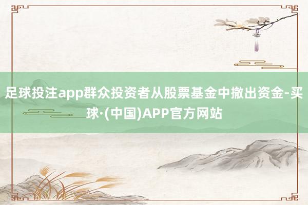 足球投注app群众投资者从股票基金中撤出资金-买球·(中国)APP官方网站