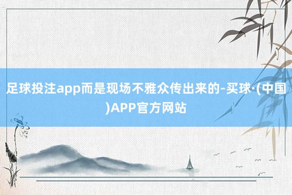 足球投注app而是现场不雅众传出来的-买球·(中国)APP官方网站