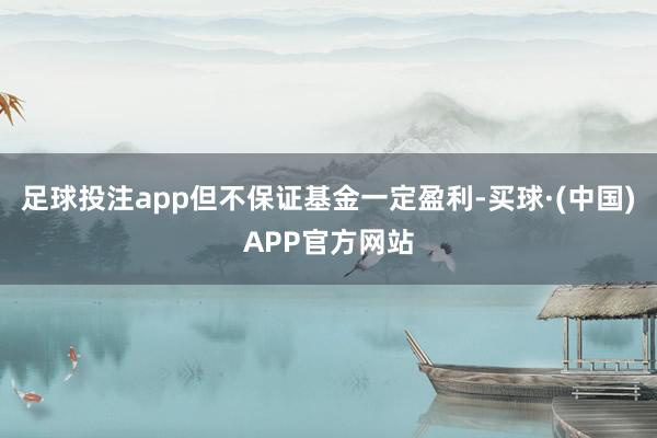 足球投注app但不保证基金一定盈利-买球·(中国)APP官方网站