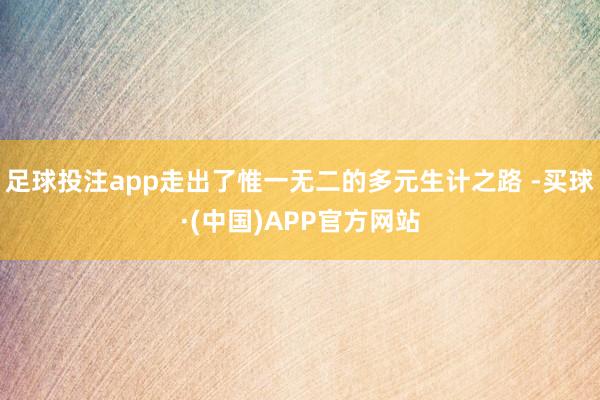 足球投注app走出了惟一无二的多元生计之路 -买球·(中国)APP官方网站