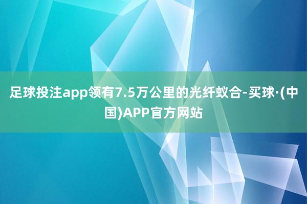 足球投注app领有7.5万公里的光纤蚁合-买球·(中国)APP官方网站