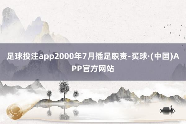 足球投注app2000年7月插足职责-买球·(中国)APP官方网站