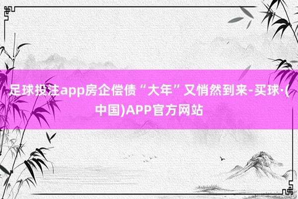 足球投注app房企偿债“大年”又悄然到来-买球·(中国)APP官方网站
