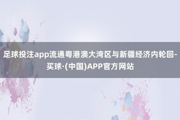 足球投注app流通粤港澳大湾区与新疆经济内轮回-买球·(中国)APP官方网站