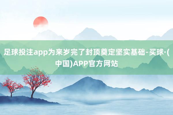 足球投注app为来岁完了封顶奠定坚实基础-买球·(中国)APP官方网站