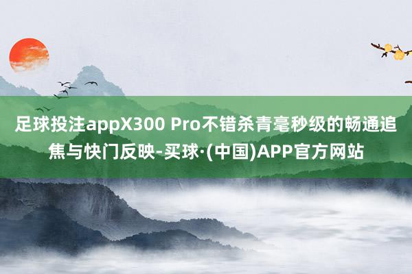 足球投注appX300 Pro不错杀青毫秒级的畅通追焦与快门反映-买球·(中国)APP官方网站