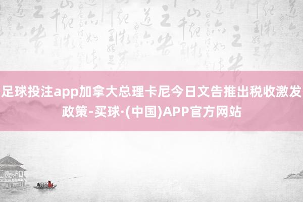 足球投注app加拿大总理卡尼今日文告推出税收激发政策-买球·(中国)APP官方网站