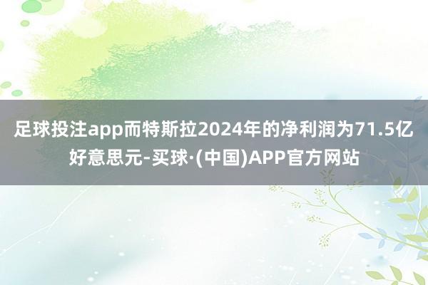 足球投注app而特斯拉2024年的净利润为71.5亿好意思元-买球·(中国)APP官方网站