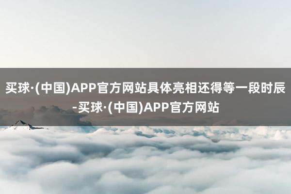 买球·(中国)APP官方网站具体亮相还得等一段时辰-买球·(中国)APP官方网站