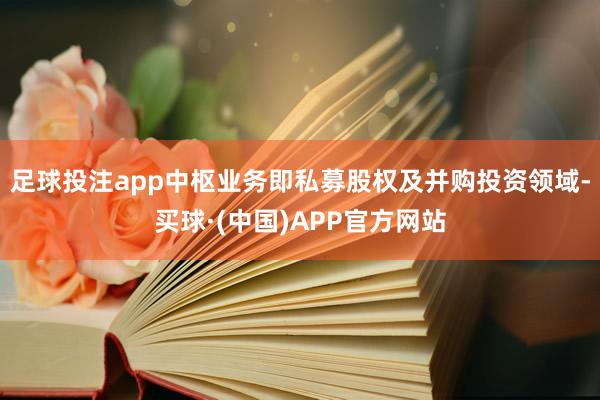 足球投注app中枢业务即私募股权及并购投资领域-买球·(中国)APP官方网站