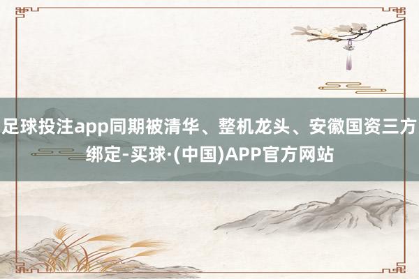 足球投注app同期被清华、整机龙头、安徽国资三方绑定-买球·(中国)APP官方网站