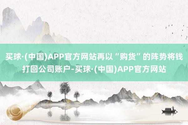 买球·(中国)APP官方网站再以“购货”的阵势将钱打回公司账户-买球·(中国)APP官方网站